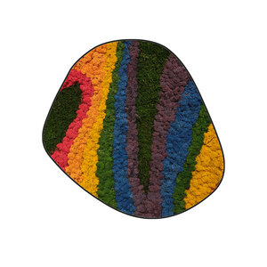 Mosdot cinco Rainbow