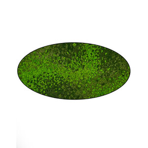 Moss oval Loran