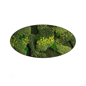 Moss oval Evey