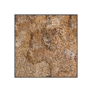 Reed square including frame