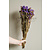 Dry flowers purple