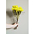 Droogbloemen yellow