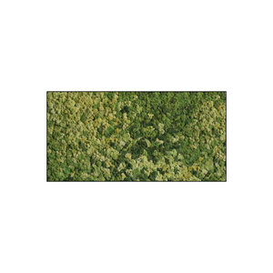 Moss rectangle Maris