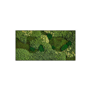 Moss rectangle Senex