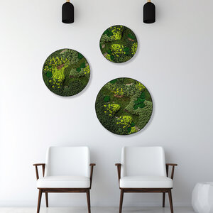 Moss circle set Kaiju