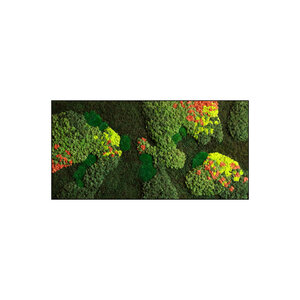 Moss rectangle Kaisa