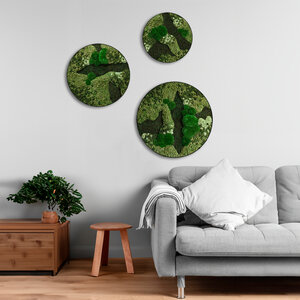 Moss circle set Menthas