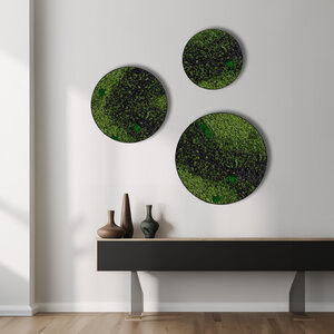 Moss circle set Nova
