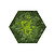 Mosshexagon Splash