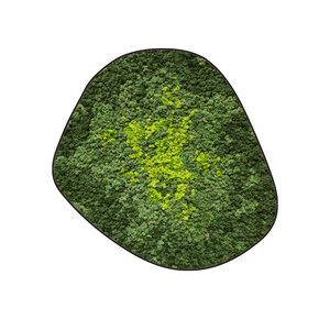 Mossdot cinco Splash