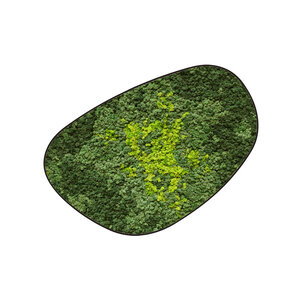 Mossdot cuatro Splash