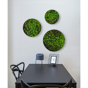 Moss circle set Loran