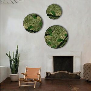 Moss circle set Contraria