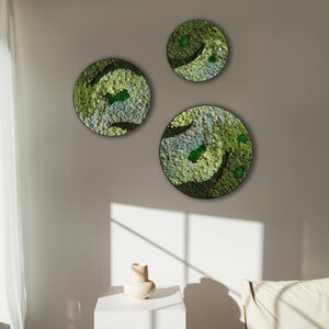 Moss circle set Caeruleum