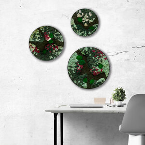 Moscirkel set Colius