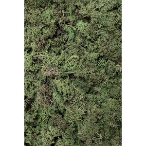 Mos sample ECO mos Dimidium