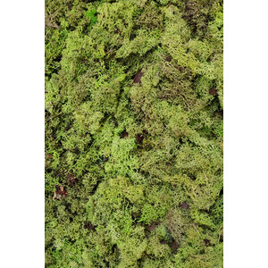 Mos sample ECO mos Apricis