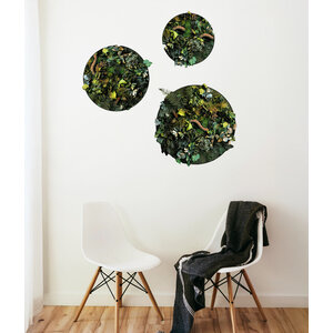 Jungle circle set Java