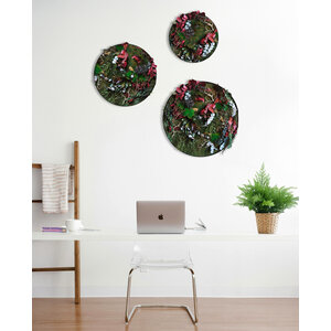 Jungle circle Rubina