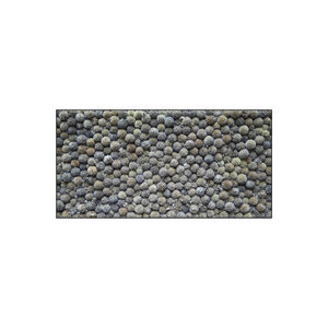 Echinops rechthoek  incl. houten lijst