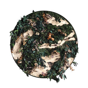 Junglecirkel stijl Rex