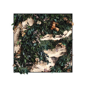 Jungle square style Rex