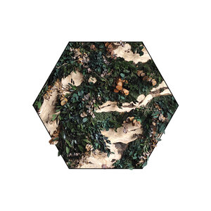 Junglehexagon stijl Rex