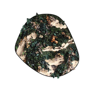 Jungledot cinco style Rex