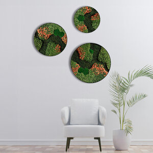 Moss circle set Terra