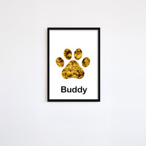 Moss portrait dog paw