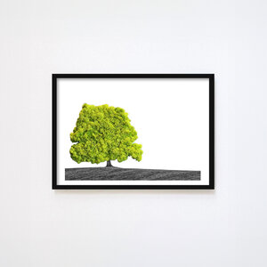 Moss portrait landscape