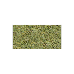 Moss rectangle Vetus