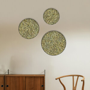 Moss circle set Vetus