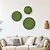 Moss circle set Dimidium