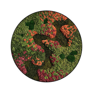 Moss circle style Renovita