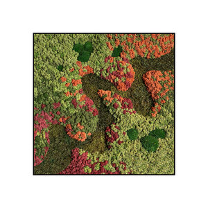 Moss square Renovita