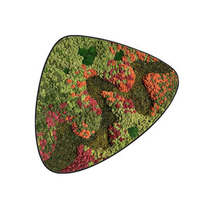 Mossdot tres Renovita