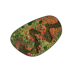 Mosdot cuatro Renovita