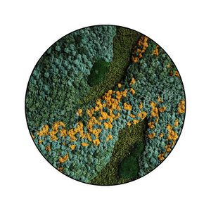 Moss circle style Cascata