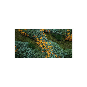 Moss rectangle Cascata