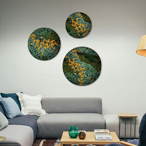 Moss circle set Cascata