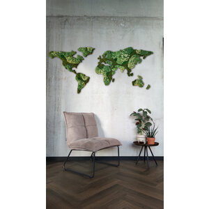 Moss world map Senex 200 cm