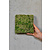 Sample moss wall reindeer moss