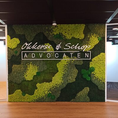 Hebben moswanden licht nodig?