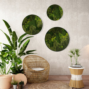 Moss circle set Jellina