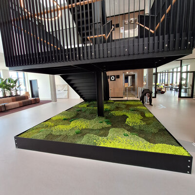 Hoe lang gaan moswanden mee?