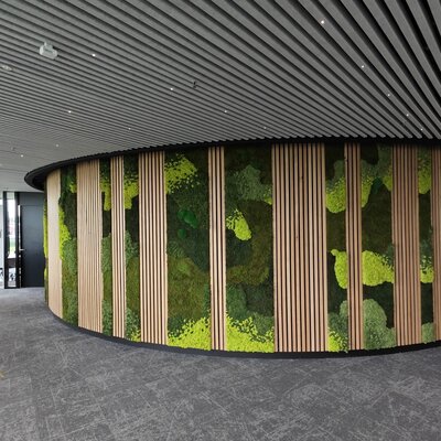 Wat is geprepareerd mos?