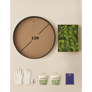 DIY moss circle 120 cm ECO moss