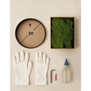 DIY moss circle 20 cm flat moss