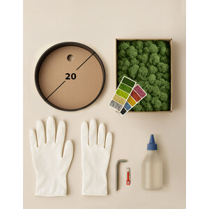 DIY moss circle 20 cm reindeer moss